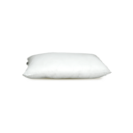 Citrus Series Regular Pillow