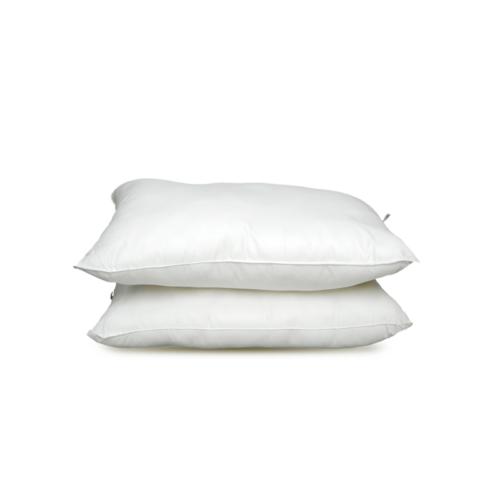 Citrus Series Regular Pillow Set of 2