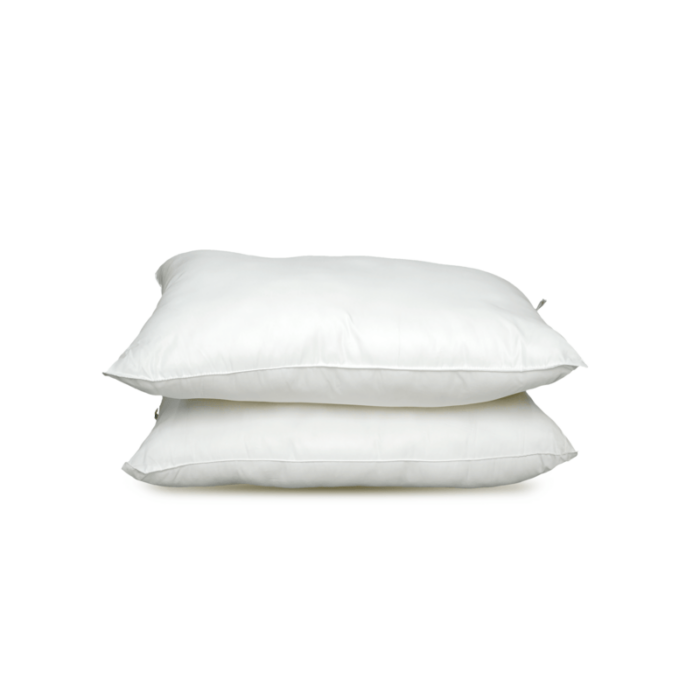 Citrus Series Regular Pillow Set of 2