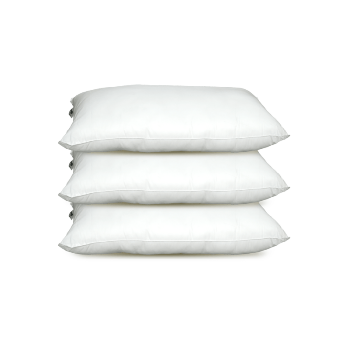 Citrus Series Regular Pillow Set of 3