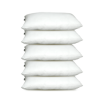 Citrus Series Regular Pillow Set of 5